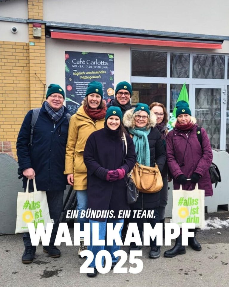 Wahlkampf mit Team Robert – sei dabei!